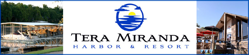 Tera Miranda Top Ad - http://terra.mymodernmedia.com/
